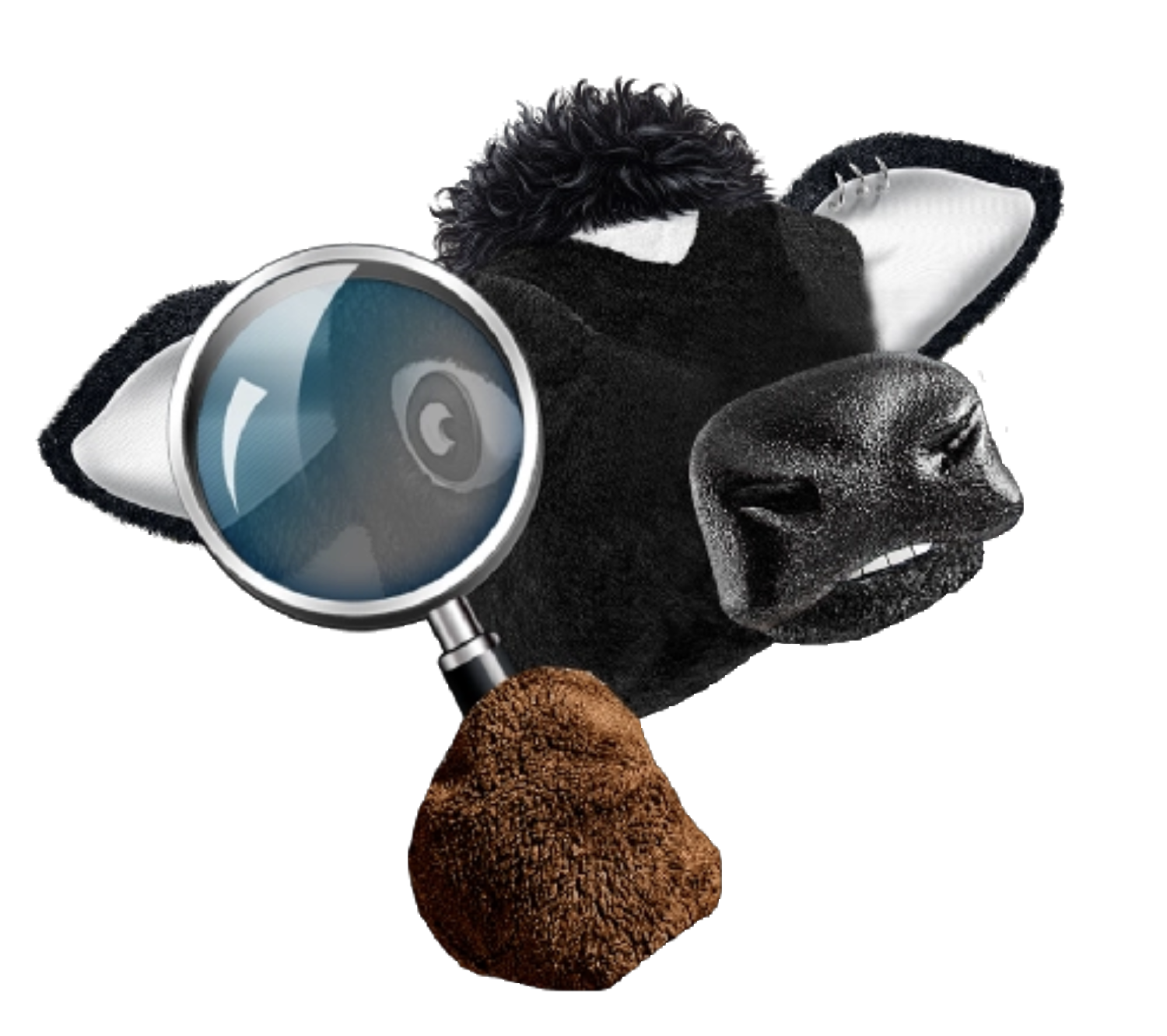 Cowse com Toddy