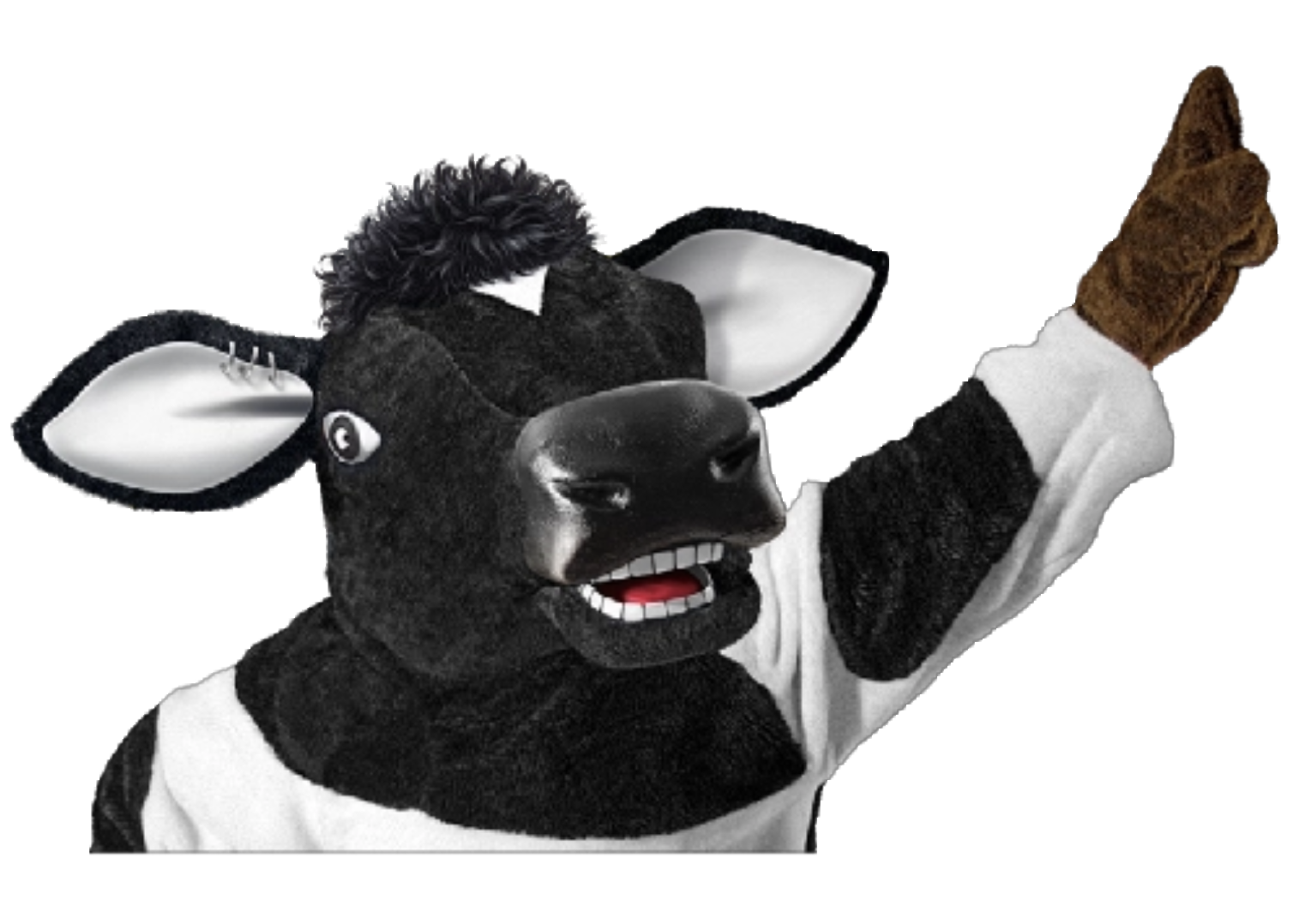 Cowse com Toddy