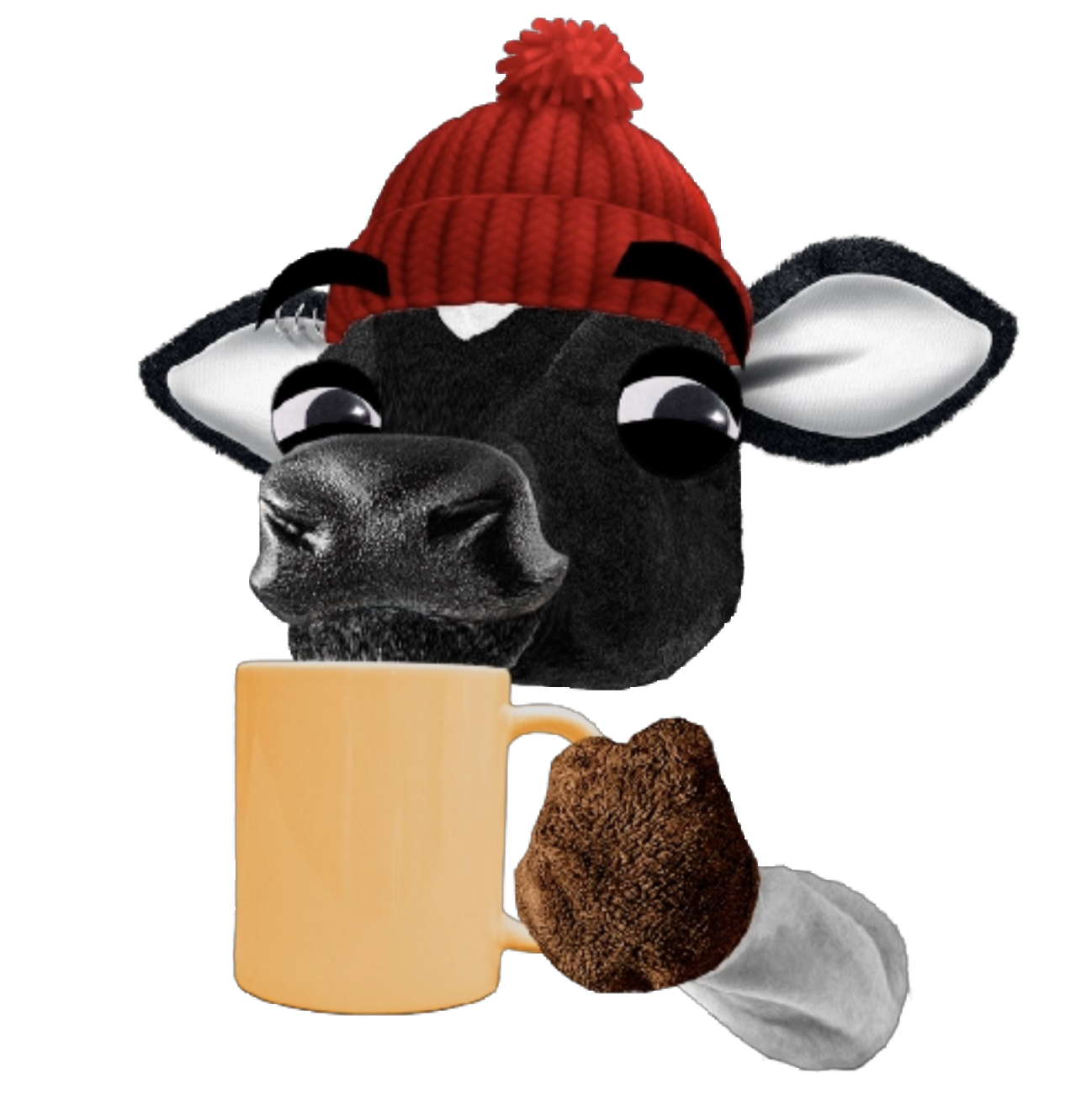 Cowse com Toddy
