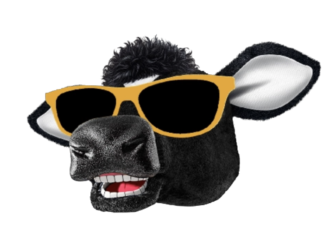 Cowse com Toddy